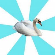 NiceSwan01