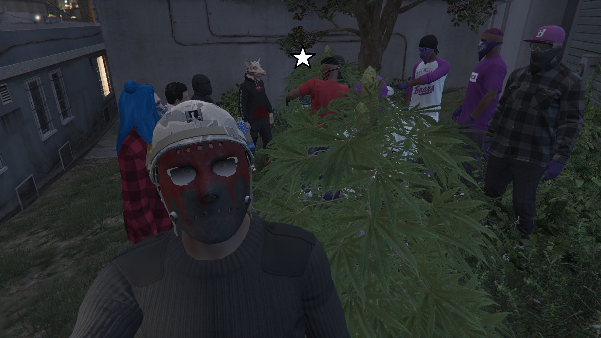 weed.jpg